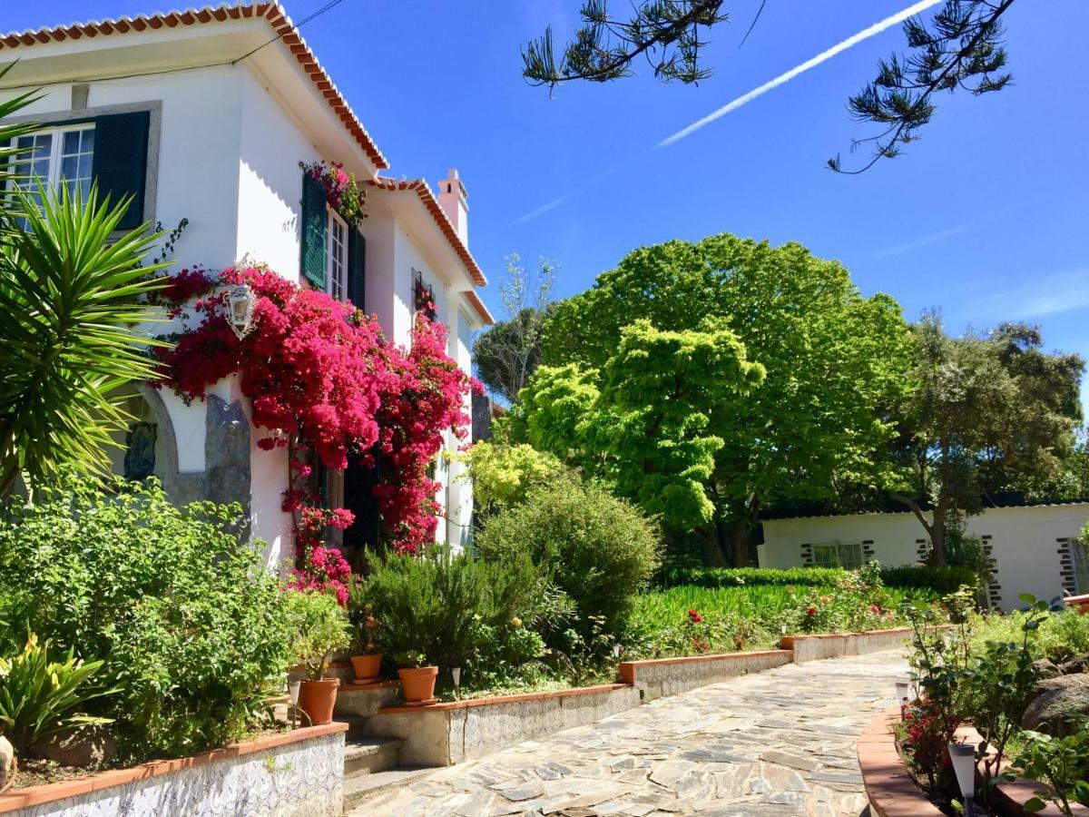 Cascais Seaside Garden Villa Exteriör bild